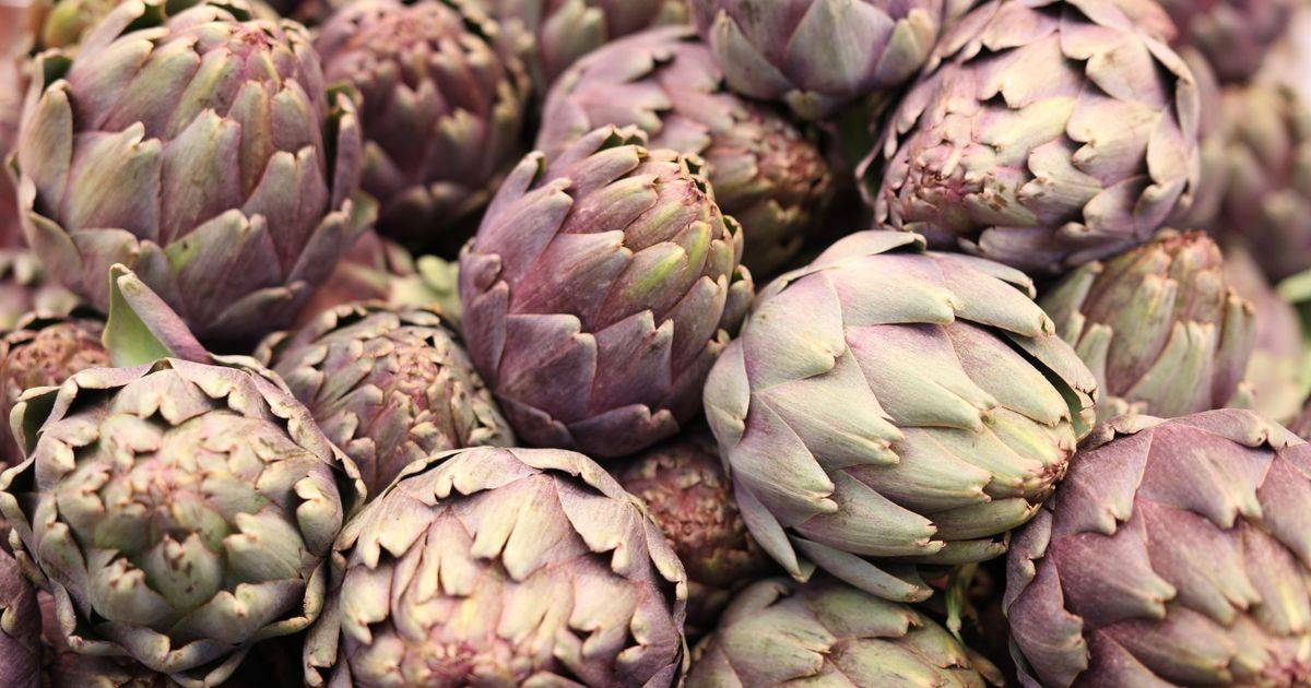 Artichoke Extract