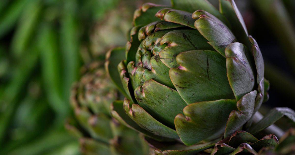 Artichoke Extract