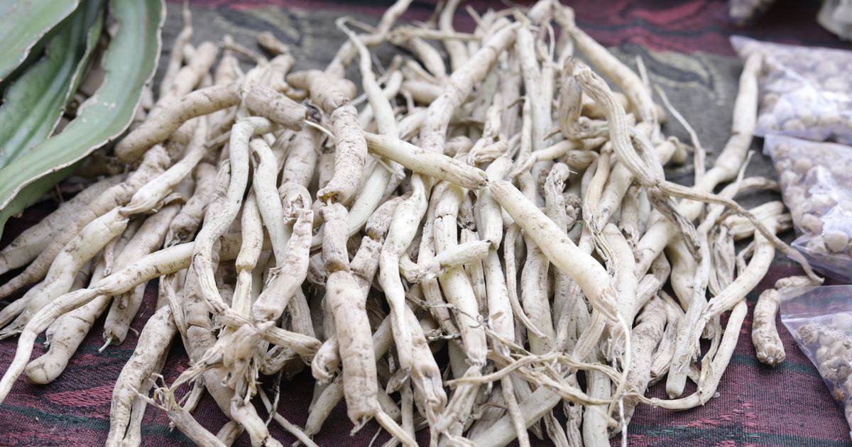 Ashwagandha