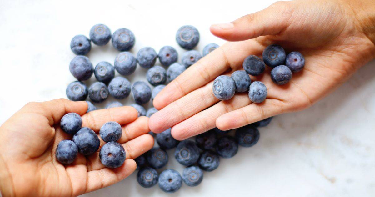 Bilberry Extract