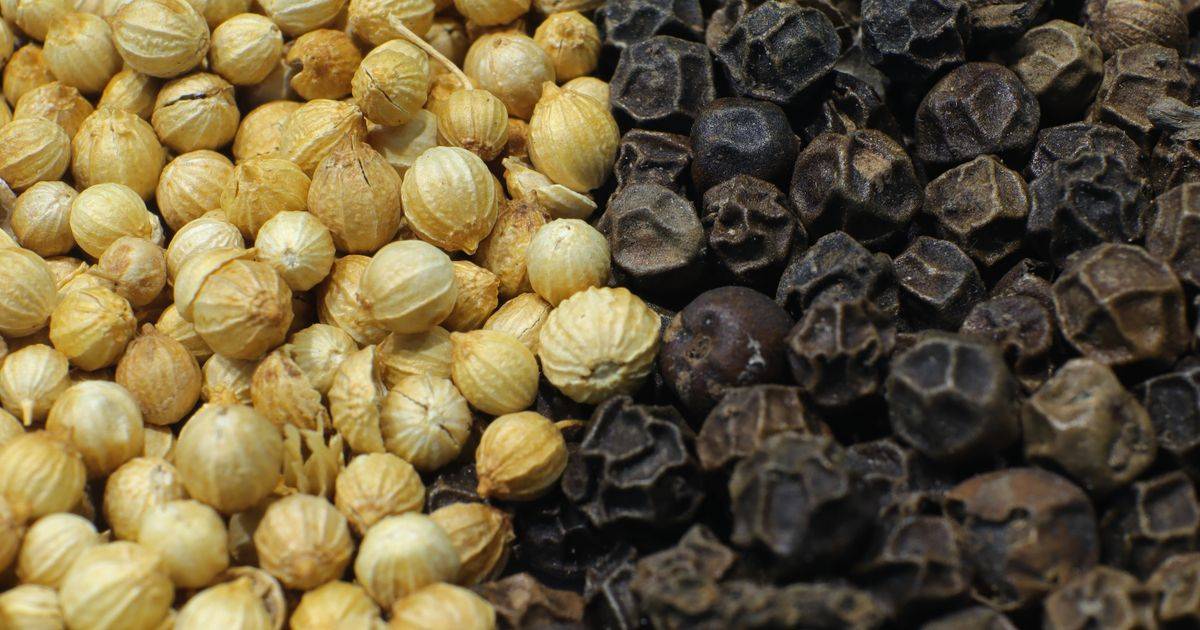 Black Pepper Extract
