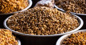 Fenugreek