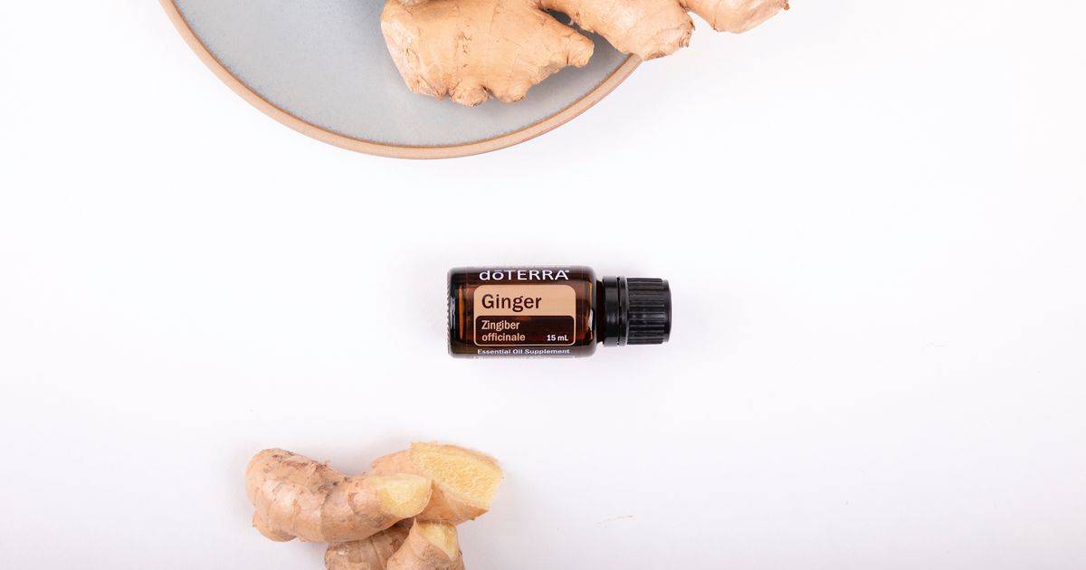 Ginger Root Extract