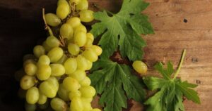 Grape Seed Extract