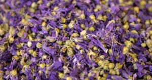 Kudzu Flower Extract