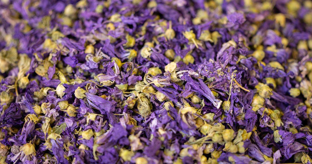 Kudzu Flower Extract