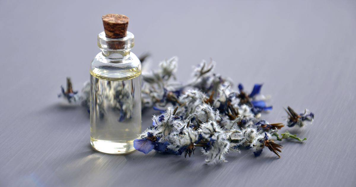 Lavender Oil