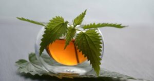 Nettle Root
