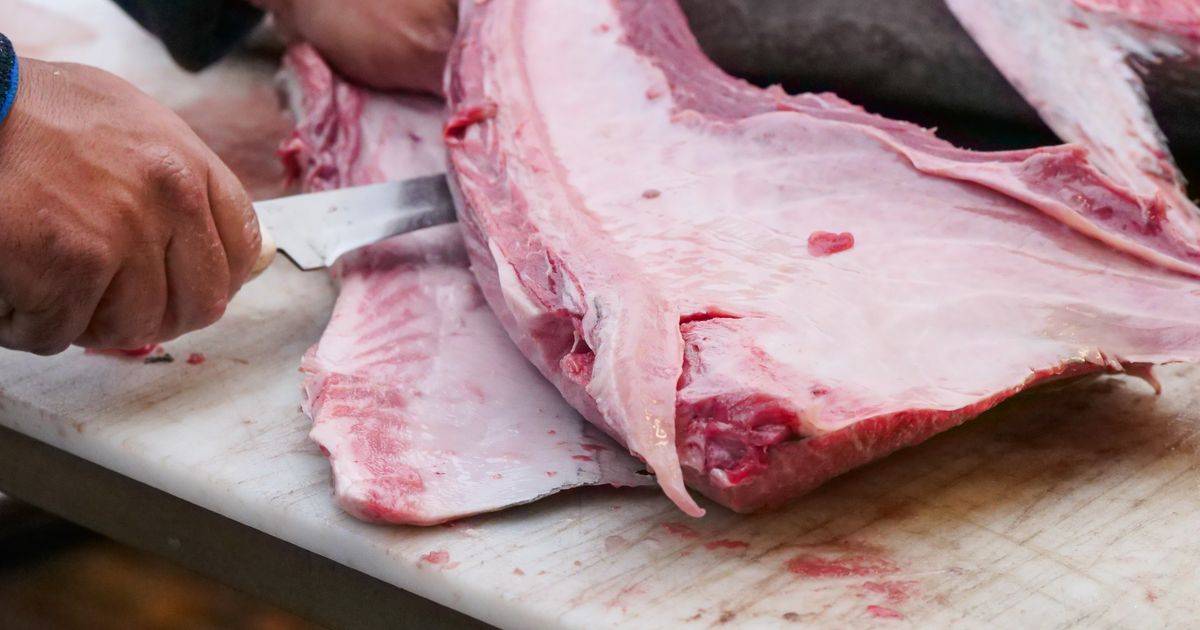 The Best Foods for Gut Bacteria Supported by Science